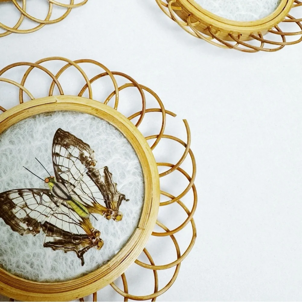 Vintage Real Butterfly Bamboo Coasters